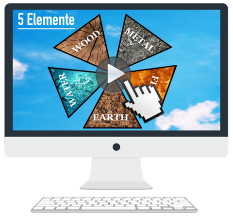 Five Elements Seminar (på engelska)